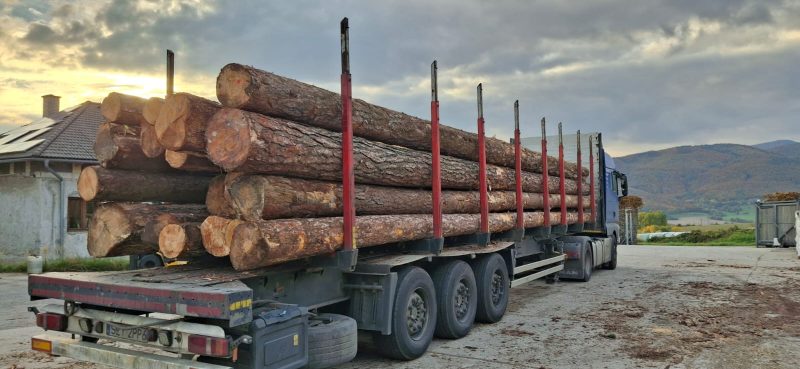ROUND PINEWOOD WITH BARK
