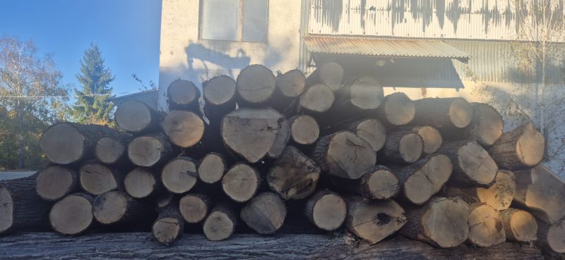 ROUND OAK WOOD WITH BARK