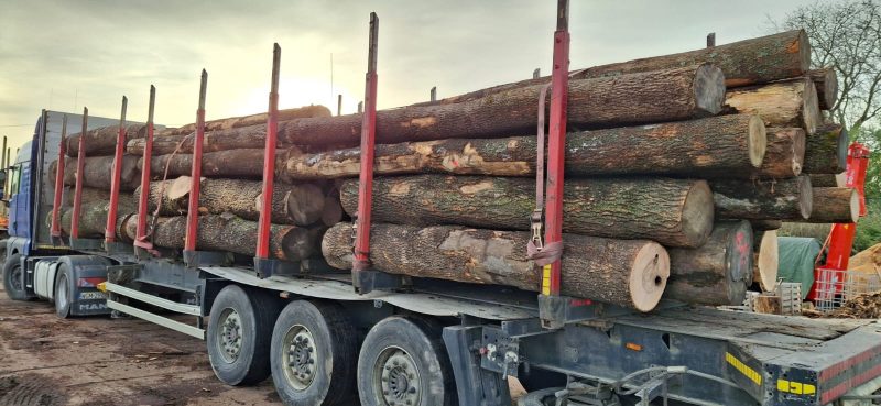 ROUND ASH WOOD WITH BARK