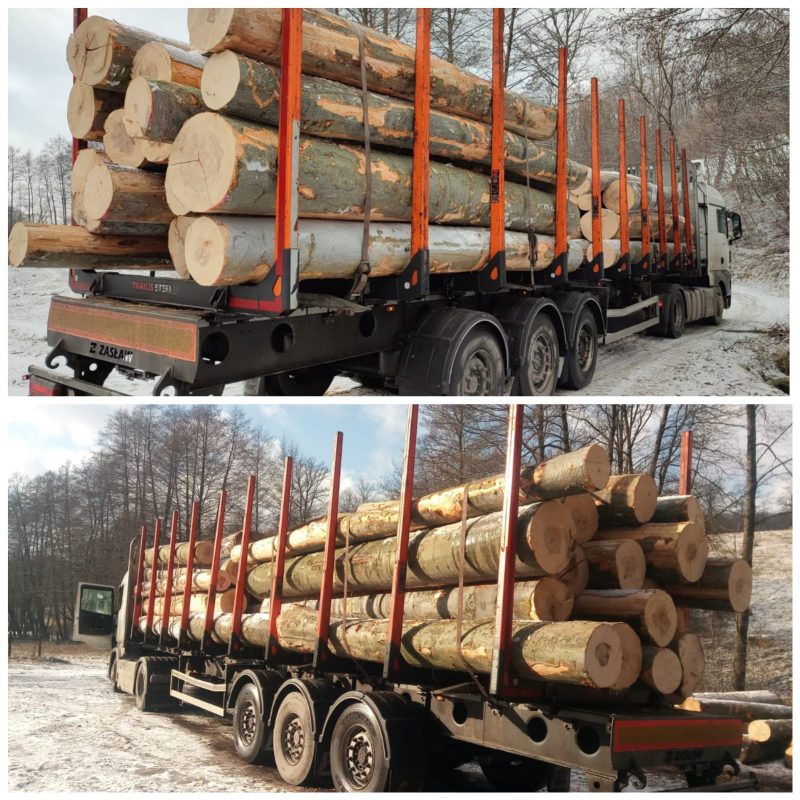 ROUND BEECHWOOD WITH BARK