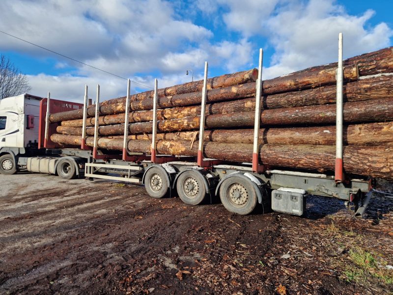 ROUND PINEWOOD WITH BARK