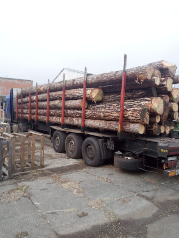 ROUND PINEWOOD WITH BARK