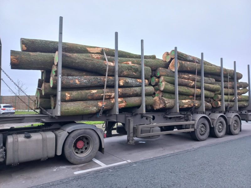 ROUND ASH WOOD WITH BARK