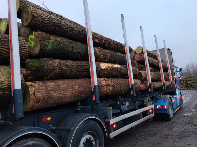 ROUND ASH WOOD WITH BARK