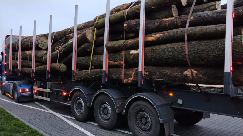ROUND ASH WOOD WITH BARK