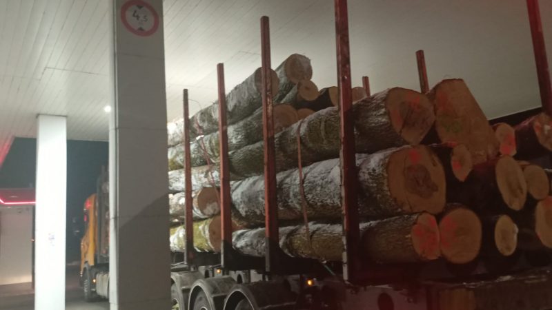 ROUND ASH WOOD WITH BARK