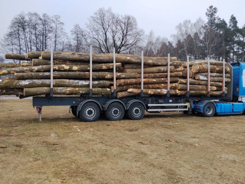 ROUND ASH WOOD WITH BARK