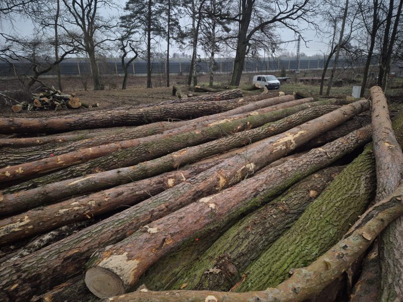 ROUND PINEWOOD WITH BARK