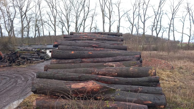 ROUND OAK WOOD WITH BARK-1876.jpg