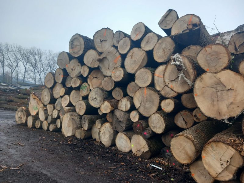 ROUND ASH WOOD WITH BARK-1886.jpg