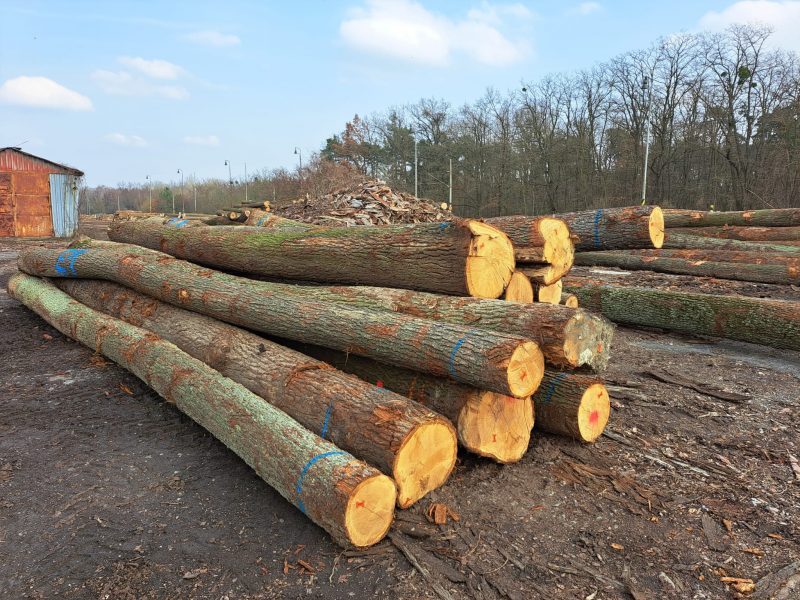 ROUND OAK WOOD WITH BARK-1907.jpg