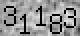 field captch